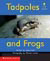 Alphakids: Tadpoles and Frogs (6-pack)