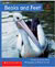 Alphakids: Beaks and Feet (6-pack)