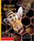 Alphakids: Animal Builders (6-pack)
