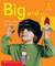 Alphakids: Big and Small (6-pack)