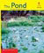 Alphakids: The Pond (6-pack)