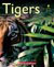 Alphakids: Tigers (6-pack)