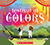 	
Festival of Colors