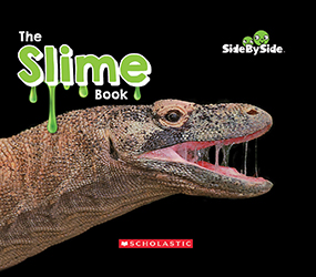 Photo of The Slime Book