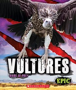 Photo of EPIC: Birds of Prey: Vultures