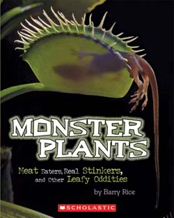 Photo of Monster Plants