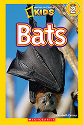Photo of Bats