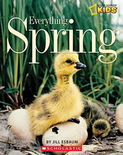 Photo of Everything Spring