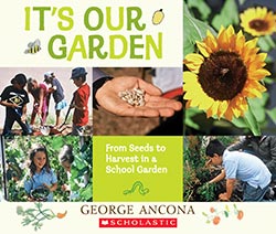 Photo of It's Our Garden: From Seeds to Harvest in the School Garden