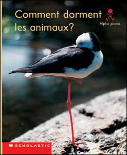 Photo of Comment dorment les animaux? (Emballage de 6)