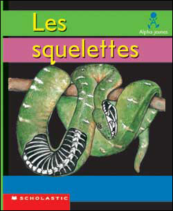 Photo of Les squelettes (Emballage de 6)