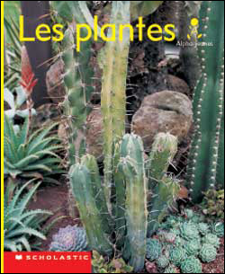 Photo of Les plantes (Emballage de 6)