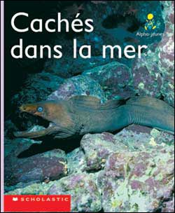 Photo of Cachés dans la mer (Emballage de 6)