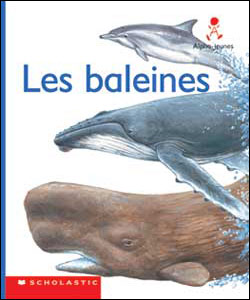 Photo of Les baleines (Emballage de 6)