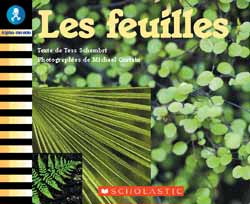 Photo of Les feuilles (Emballage de 6)