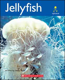 Photo of Alphakids: Jellyfish (6-pack)