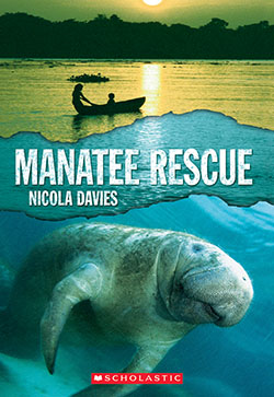 Photo of Manatee Rescue