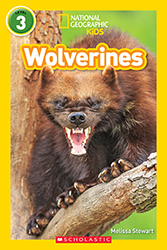 Photo of Wolverines