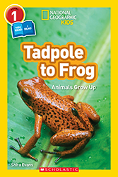 Photo of Tadpole to Frog