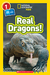 Photo of Real Dragons!