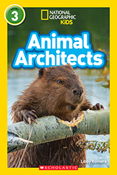 Photo of Animal Architects