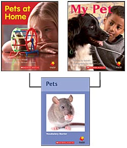 Photo of Flying Start: Level A: Pets at Home/My Pet