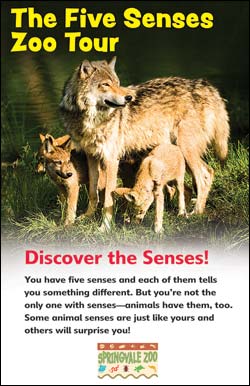Photo of Five Senses Zoo Tour
