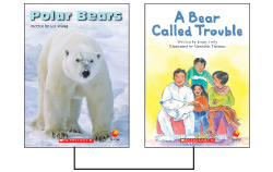 Photo of Flying Start: Level K: Polar Bears/A Bear Called Trouble 12-Pack