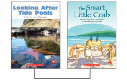 Photo of Flying Start: Level K: Looking After Tide Pools/The Smart Little Crab 12-Pack
