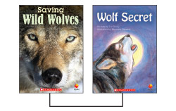 Photo of Flying Start: Level O: Saving Wild Wolves/Wolf Secret 12-Pack