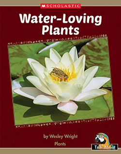 Photo of Talk About Natural World: Water-Loving Plants