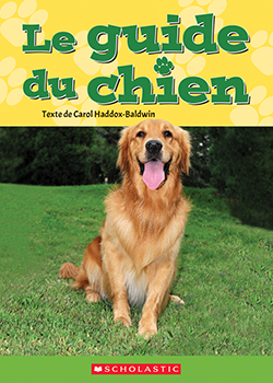 Photo of Le guide du chien