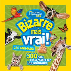 Photo of Bizarre mais vrail! Les animaux