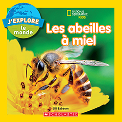 Photo of Les abeilles a miel