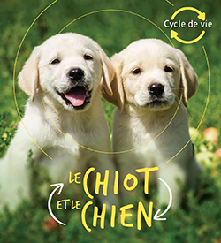 Photo of Le chiot et le chien