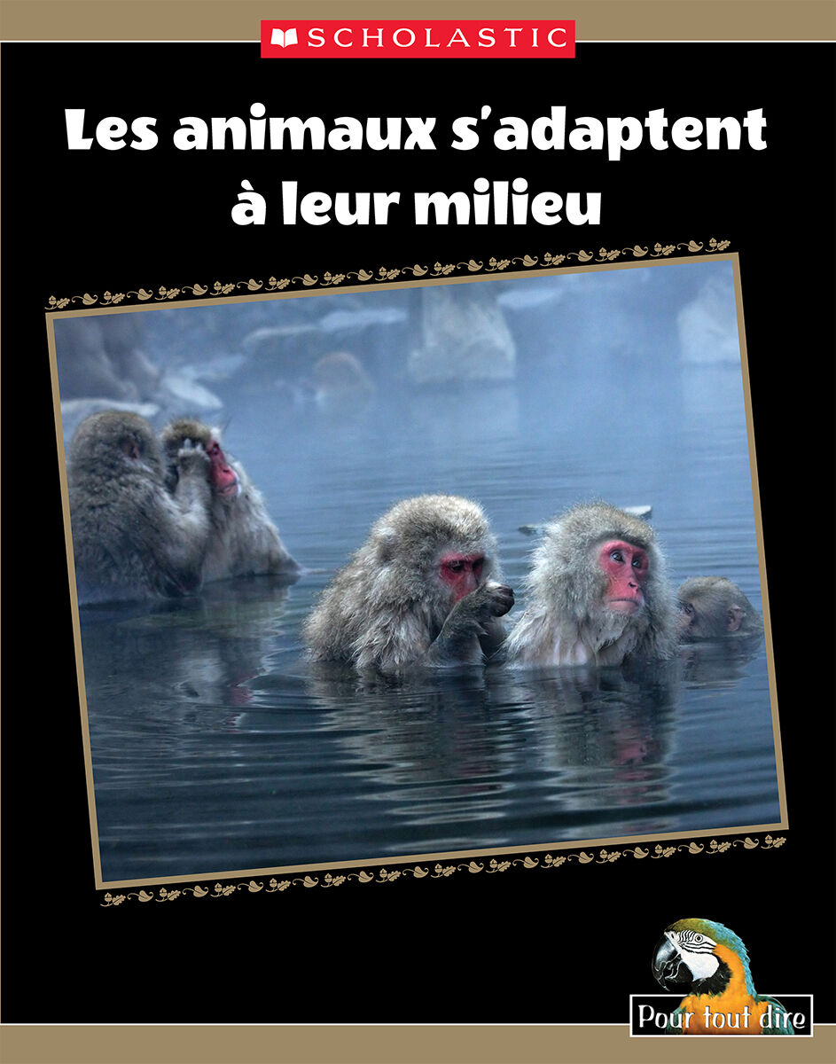 Pour tout dire: Les sciences Trousse compl&egrave;te image number 9