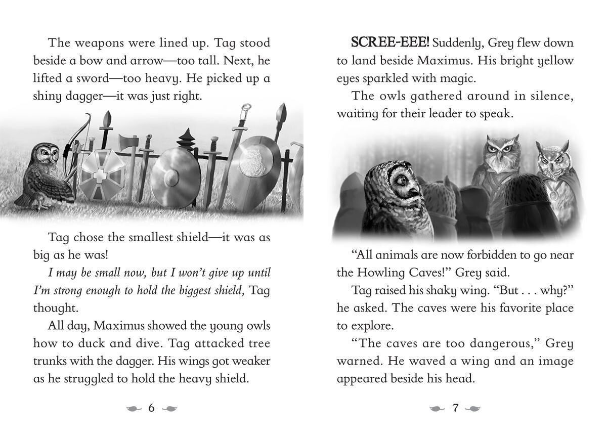 The Last Firehawk #1: The Ember Stone image number 2