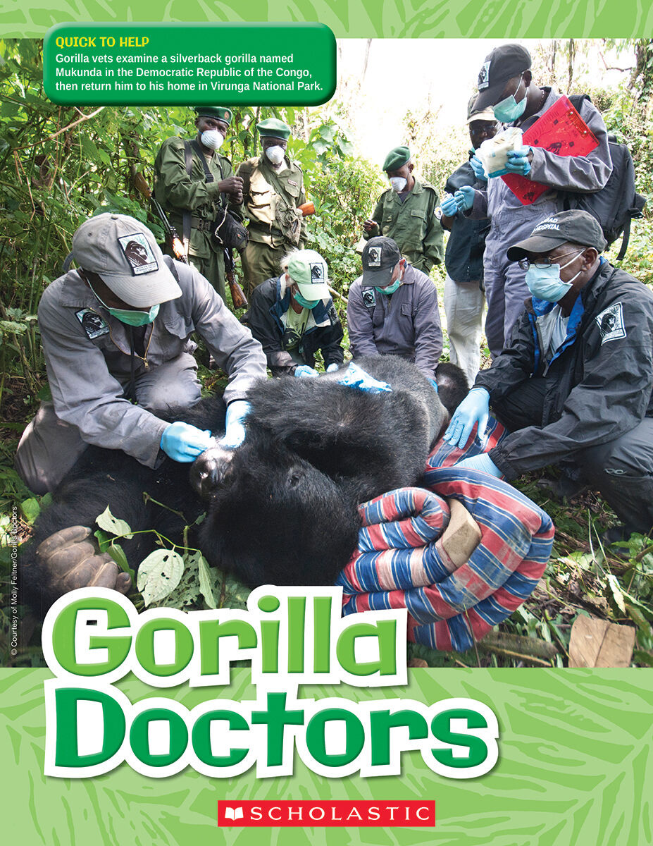 Moving Up Grade 5: Level T: Gorilla Doctors 6 Pack image number 0