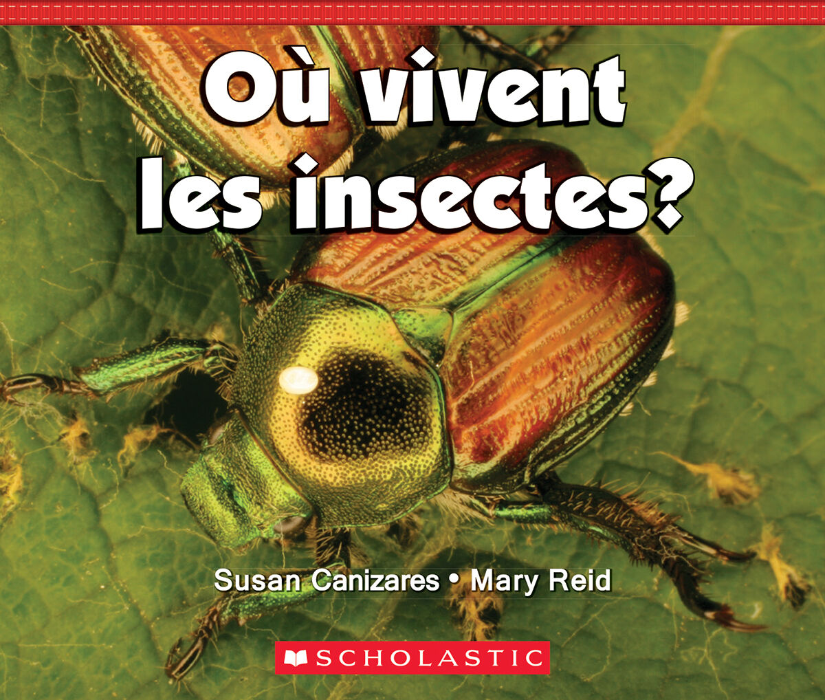 Jour apr&egrave;s jour : Collections toutes faites : Les faits sur les animaux