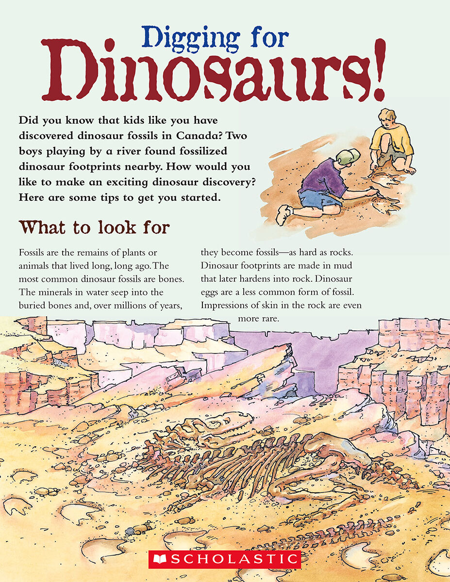 LPEY Levelled Libraries: Level P image number 7