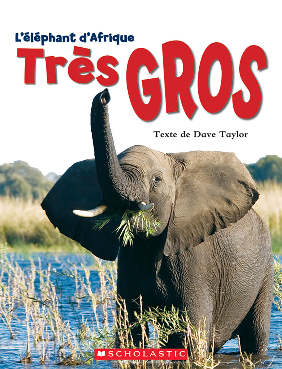 Envol an litt&eacute;ratie 2e &agrave; 4e ann&eacute;e: Niveau Q: L'&eacute;l&eacute;phant d'Afrique - Tr&egrave;s GROS Emballage de 6 image number 0