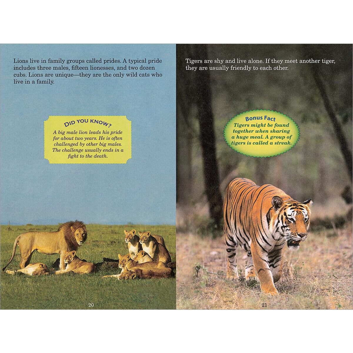 Who Would Win? Lion vs. Tiger image number 1