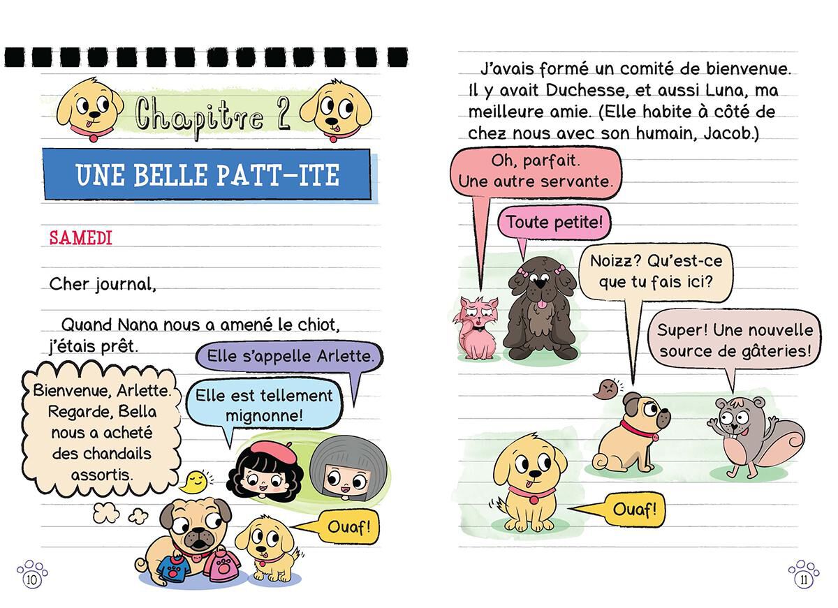 Journal d&rsquo;un carlin : N&deg; 8 - Le chiot image number 1
