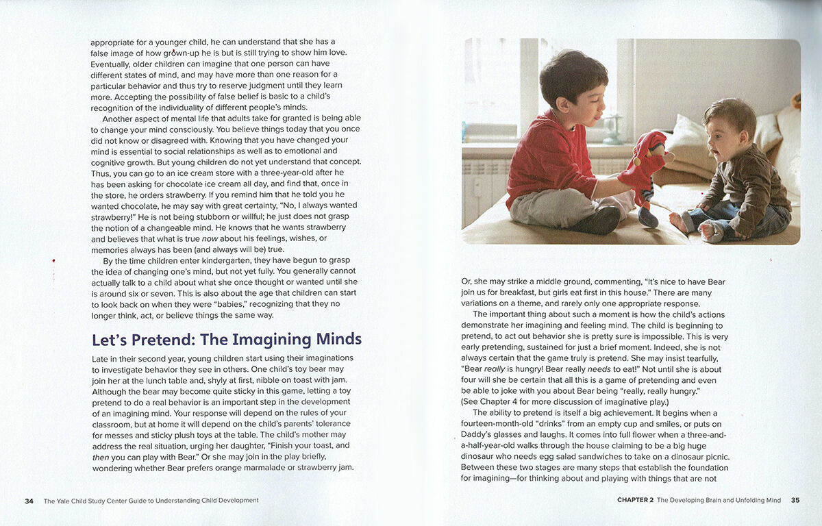 The Educator's Guide to Understanding Child Development image number 3