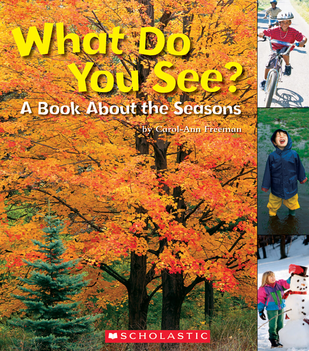 Literacy Place for the Early Years Grade 1: Level D: What Do You See? 6 Pack