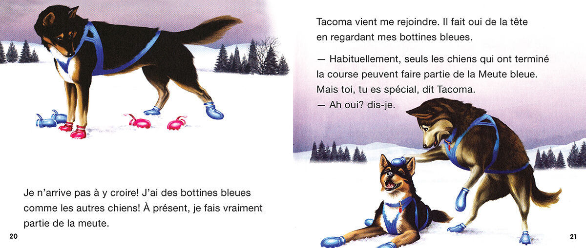Jour apr&egrave;s jour : Collections toutes faites : Pour les lecteurs interm&eacute;diaires image number 2