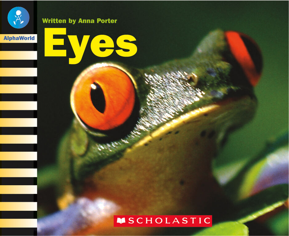 AlphaWorld: Levels 6-11 Teacher's Guide image number 6