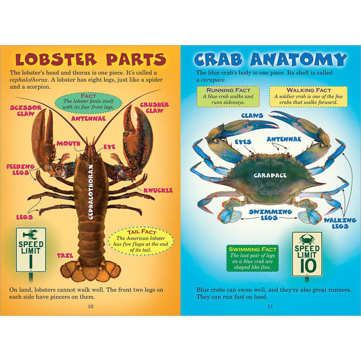 Who Would Win? Lobster vs. Crab image number 2