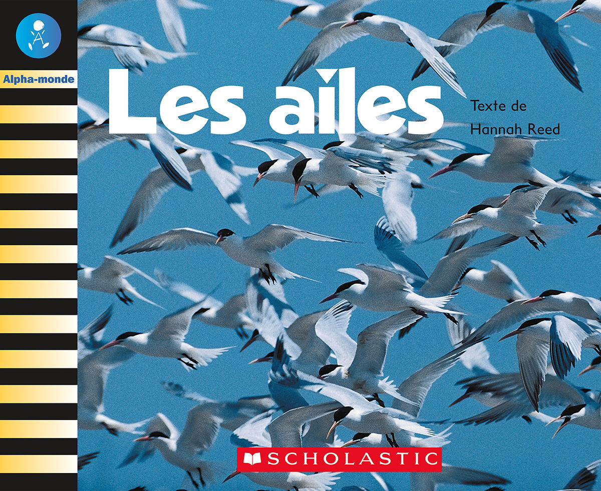 Alpha-monde: Emballage Niveau 7 (E) image number 4