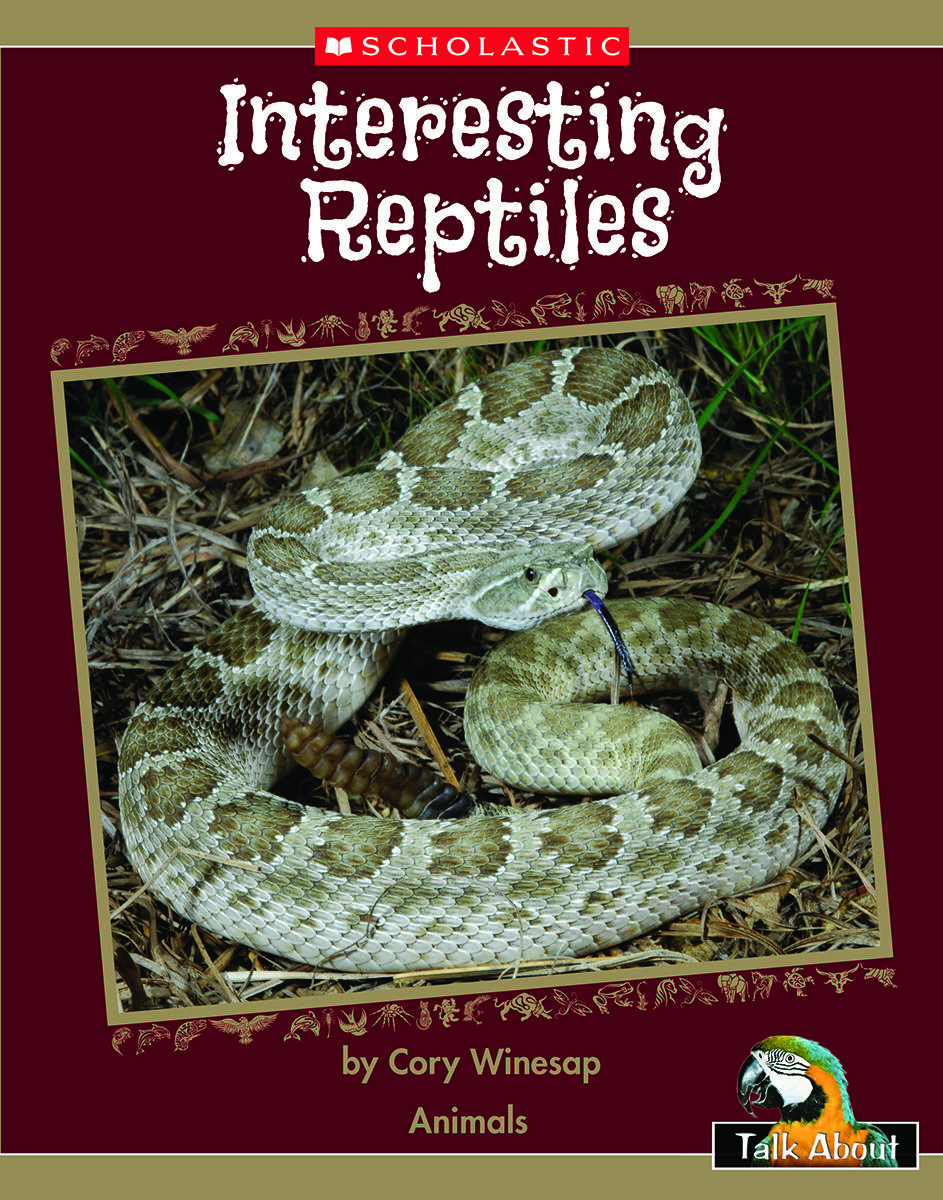 Talk About The Natural World: Animals: Interesting Reptiles 4 Pack image number 1